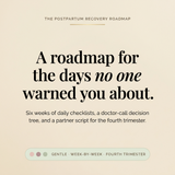 Postpartum Recovery Roadmap - promise: a roadmap for the days no one warned you about