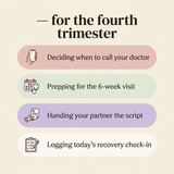 Postpartum Recovery Roadmap - use cases: doctor calls, 6-week visit, partner script, daily check-in