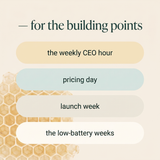 Solopreneur Playbook - use cases: CEO hour, pricing day, launch week, low-battery weeks