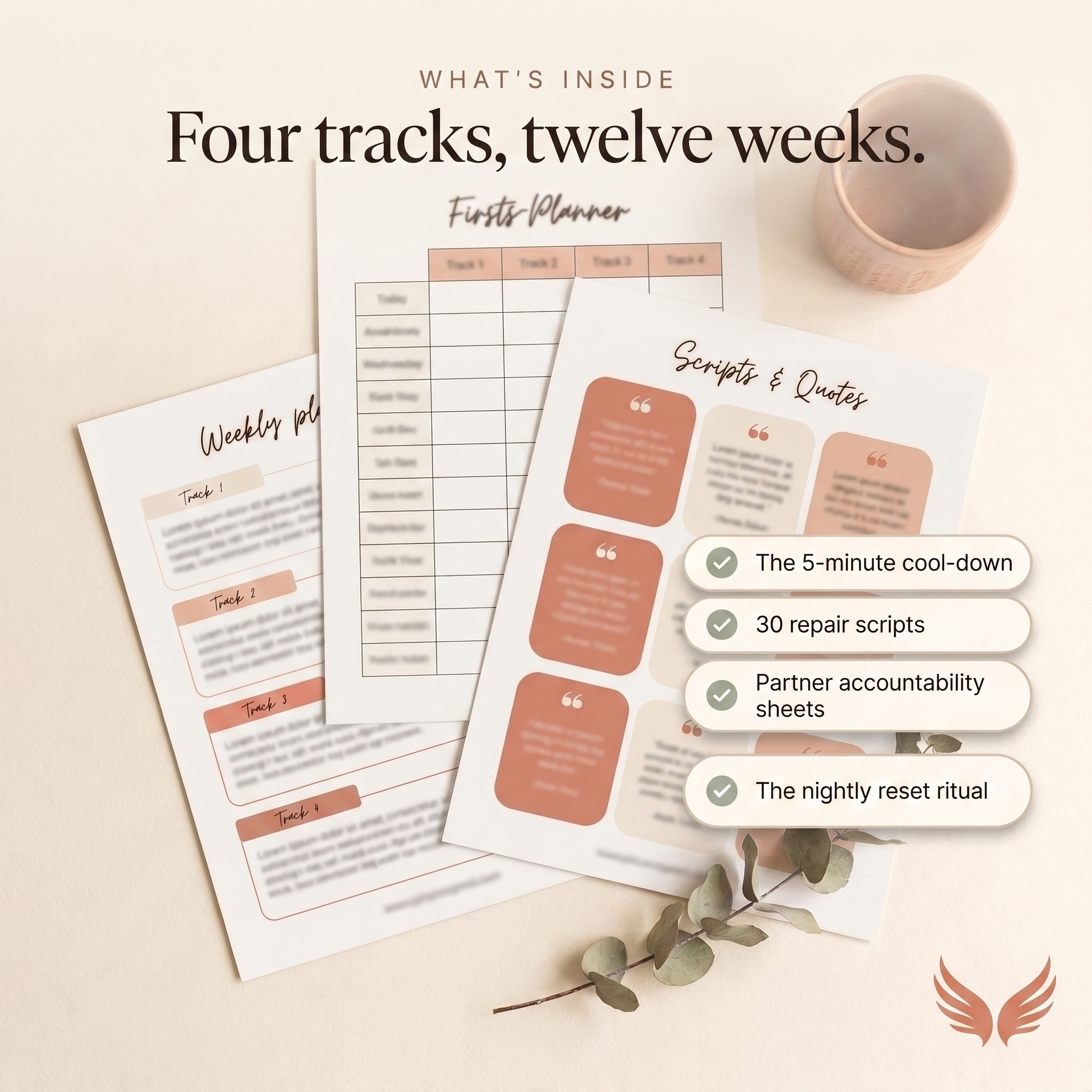 Divorce Recovery Roadmap - what's inside: four tracks, twelve weeks